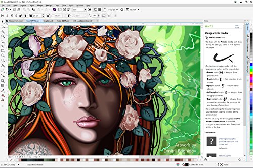 Corel DRAW Graphics Suite 2017 - Software De Dise  o Gr  fico  Upgrade  Ingles