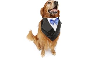 DELIFUR Smoking ślubny duży pies bandana szalik regulowana obroża dla kota apaszka dla zwierząt domowych ubrania do przebierania się na wesele lub Halloween (niebieski)