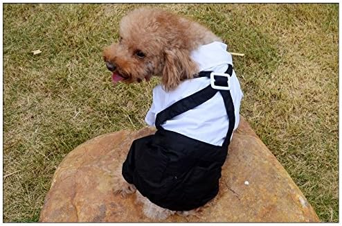 Lesypet Pet Dog Puppy Shirt Suit Wedding Groom Tuxedo Bowtie Cloth Outfit -XXL