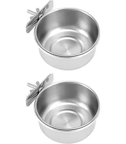 20 Stück Vogel-Fruchtgabeln - Praktische Futterhalter Für Papageien & Sittiche