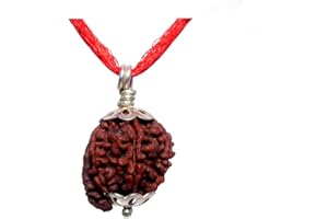 55Carat Choose Your Original Lab Certified Rudraksha 1 to 13 Mukhi Ganesha Gauri Shankar Silver Plated Pendant Astrological Shiva Jewelry for Men and Women