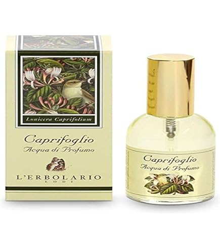 Slip brésilien Marie Jo Jane Boudoir Cream