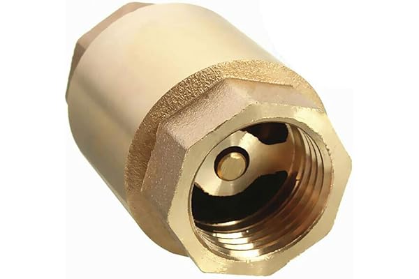Clapet anti-retour à ressort 1,9 cm en laiton pour eau, huile, vapeur et autres supports (DN20)