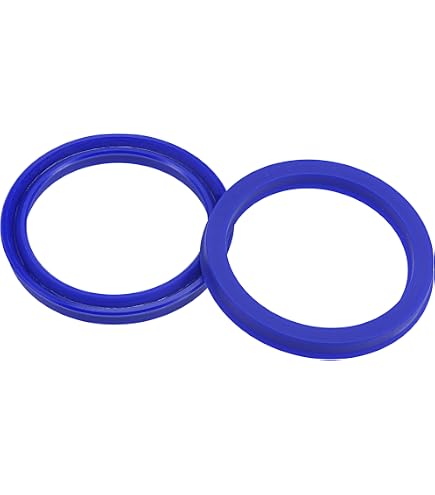 TC 10x22x8 Double Lip Metric Oil/Dust Seal With Spring - 10mm X 22mm X 8mm