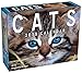 Produktbild Cats 2019 Mini Day-To-Day Calendar