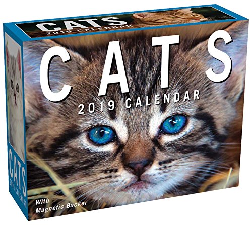 Preisvergleich Produktbild Cats 2019 Mini Day-To-Day Calendar