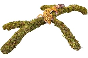 Jinymral Leopard Gecko Terrarium Zubehör, verstellbares Kletterspielzeug Zubehör, Terrarium Habitat Dekoration