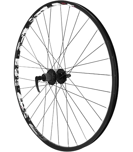 Kit Conversion Moyeu DT Swiss – Roue Arrière 135mm/QR, SRAM XDR Avec Molette