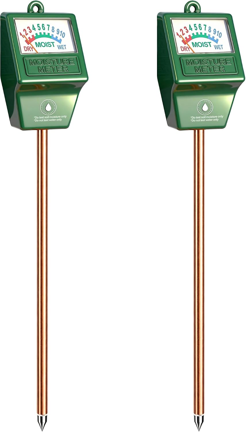 Vue 11