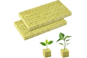 OFFCUP Stenull, 100 stycken hydroponisk odlingskuber 2,5 x 2,5 x 2,5 cm, soilless odlingskuber för sticklingar, plantering, i