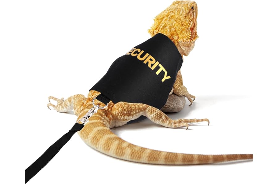 Bearded Dragon Leash and Harness Set, Adjustable Lizard Reptile Leashes Bearded Dragon Rope Accessories for Amphibians Chameleons Small Pet Animals Outdoor Safety Walking