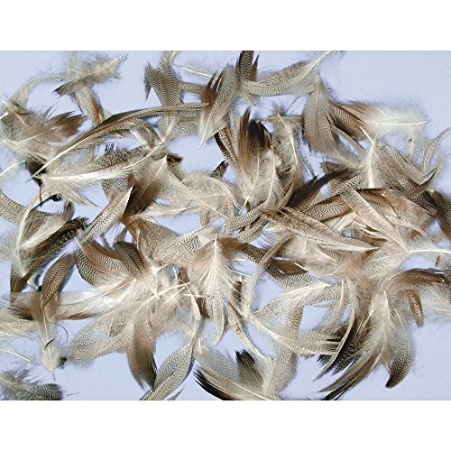 Rayher 8515500 Federmischung, Pepita, 7-9 cm, SB-Btl. 10 g
