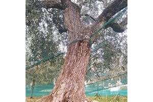 Ferramenta-utensili - Filet à olives léger avec bordure renforcée à œillets - 6 x 6 m