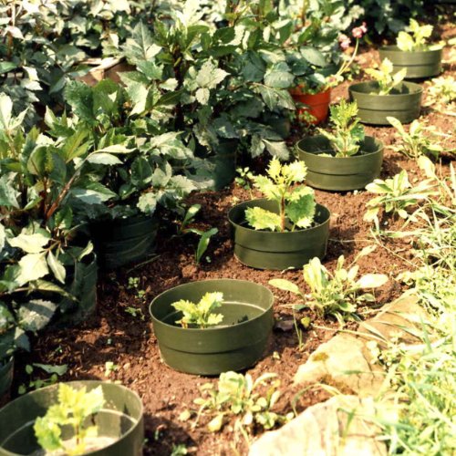 AQUARING 10-er Set, Ø 20 cm grün - 5