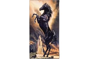 Violetpos Szybkoschnące i lekkie ręczniki plażowe ręcznik plażowy duży 90 x 180 cm szybkoschnąca mikrofibra z nadrukiem czarnym koniem Felsberg