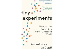 Tiny Experiments: How to Live Freely in a Goal-Obsessed World