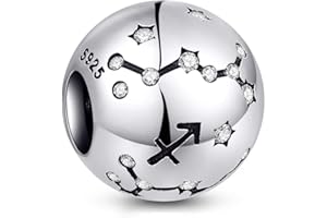 NINGAN Charms del Cumpleaños de 12 Signos del Zodiaco - Charms de Plata Esterlina de 925 Ajustan Pulsera & Collar- Regalos de cumpleaños Ideales para Mujeres y Amigos