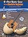 Produktbild 4-Chord Songs for the Absolute Beginner: Book & CD