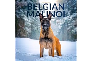 Belgian Malinois Dog 2026 Calendar: Loyal Guardians and Intelligent Companions