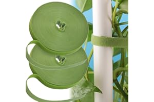 SCHYIDA 2 PCS Attaches de Jardin pour Plantes, 25m Bande de Fixation Réutilisable Liens de Plantes 10mm de Large Cravates de Jardin Douces Supports de Plante pour Plantes grimpantes (Vert Gazon)