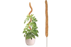 BAVOKON 70 Cm Tuteur Coco,Tuteur Plante Coco,Tuteur Plante Grimpante,Tuteur Plante Support Plante Grimpante Tuteur Coco pour Plante Monstera Maison Jardin,Plante Grimpantes Support Plante