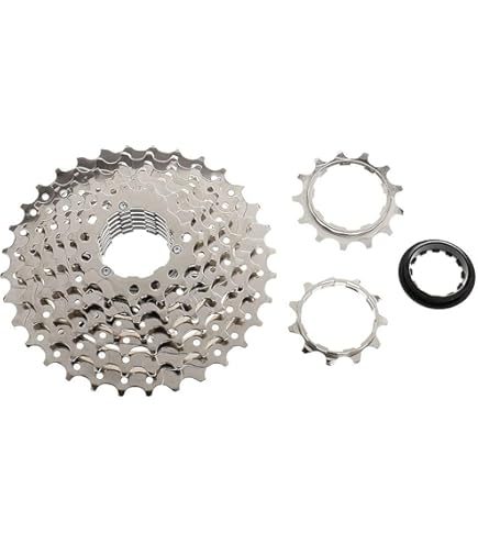 Buy ACS BMX ACS Paws 4.1 BMX Freewheel,16T Online at Low Prices in