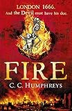 Cover zum Buch Fire