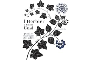 L'herbier d'Emilie Vast: Plantes sauvages des villes