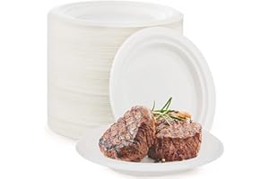 YIEN Piatti di carta super rigidi, 100% biodegradabili e compostabili, piatti monouso ecologici bianchi in bagassa, 100 pezzi (22,9 cm)