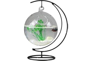 TITA-DONG Hanging Fish Tank, Small Table Glass Fish Bowl, Mini Aquarium with Stand, Desk Hanging Fish Tank Bowl with Stand, Clear Plant Terrarium for Home Tabletop Office Garden Decor(A1)