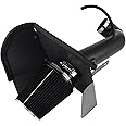 Salem Auto Parts 4 Inch Cold Air Intake Filter Kit & Heat Shield for 2009-2014 Silverado 1500 GMC Sierra 1500 Yukon Cadillac Escalade ESV EXT (Black & Black)