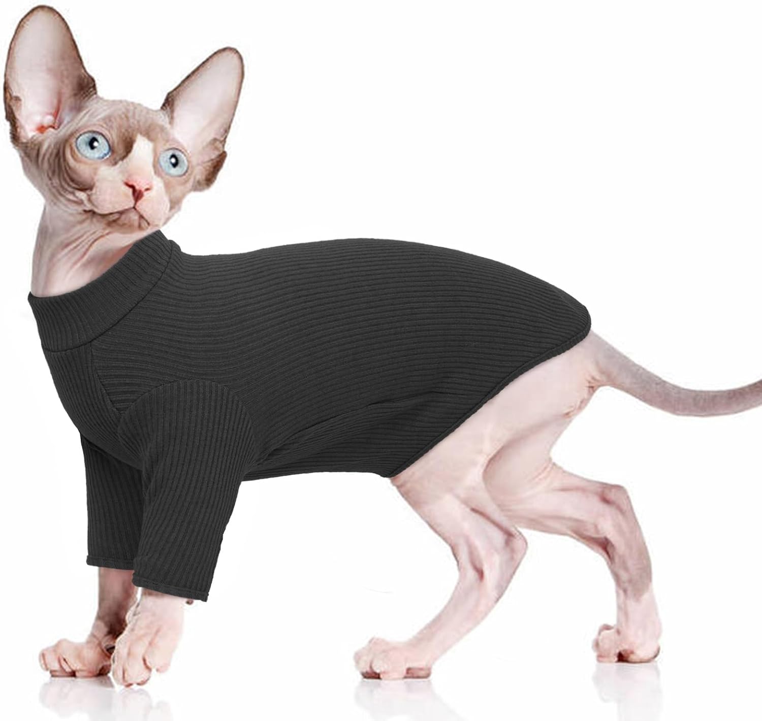 PUMYPOREITY Sphynx Ropa de Algodón sin Pelo Gato Suéter Lindo Cuello Alto Transpirable Camisetas Cuello Redondo Chaleco Camisas Gatitos Ropa Suave (Negro, XL)
