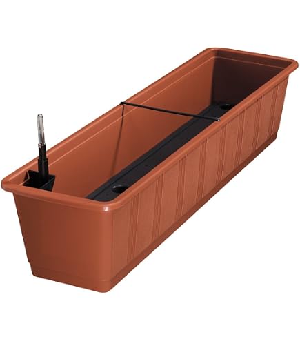beton blumenkasten bepflanzen Beton Blumenkasten grau, lnglich