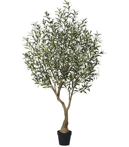 Dehner Kunstpflanze Olivenbaum, ca. 20 x 20 x 42 cm, Topf  7.5-12.5 cm,  Polyester/Metall/Papier, grn/grau : Amazon.de: Kche, Haushalt & Wohnen