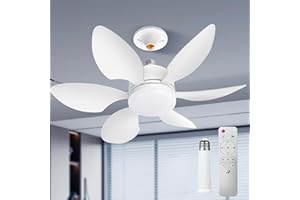 FIBRAVE Ceiling Fan Light, Fan Lights with Remote Control, Stepless Dimmable 30W 1800 Lumens 3000-6500K 3-Color 3-Speed, 20'' Small Ceiling Fan with Light for Bedroom, Kitchen, Bathroom(White Pro)