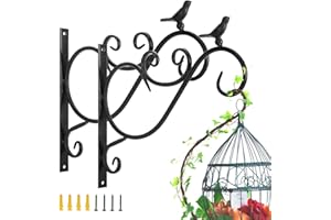 Lewondr Support Plante Mural Balcon, Lot de 2 Rétro Européen Forme d'Oiseau, Crochet de Suspension en Fer Forgé, pour lanterne à paniers avec Vis, Décor Extérieur pour Balcon de Jardin - Peinture Noir