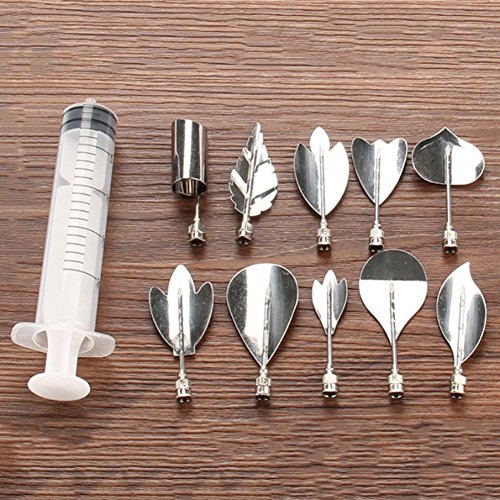 Ecarton 3D Gelatin Art Tools - Set of 10-pieces Stainless Steel Jelly Cake Needles Coming with One 20ml Syringe - Pudding Pastry Nozzles