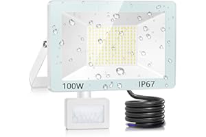 ANNIFUNLY 100W Projecteur LED Exterieur Detecteur de Mouvement, 7000K Spot LED Extérieur avec Capteur,10000LM Blanc Froid Projecteur LED, IP67 Étanche Lampe Extérieur pour Jardin, Patio, Garage