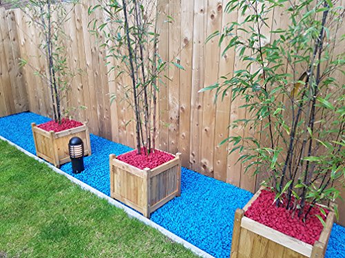 rockincolourtm Chilli Rot Dekoratives Garten Stein - 4