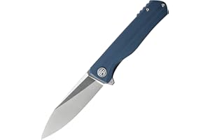 Petrified fish PF818 Coltello Pieghevole Tascabile 3.54" D2 Lama in Acciaio G10 Maniglia con Clip per Outdoor Fishing Camping Knife (Gray Satin)