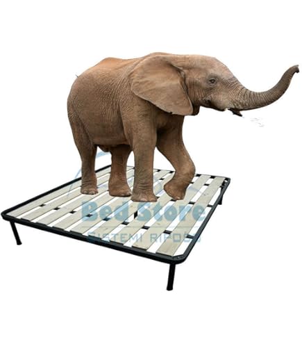 Rete Ortopedica 80x190cm 1 Piazza | Doghe Legno Massello, Ferro Rinforzato, Piedini, Made In Italy - Foto 13