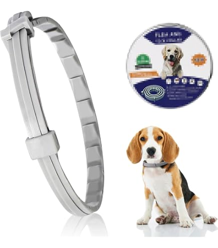 hundebett kuschelig Kuscheliges Hundebett  fr kleine und groe Hunde