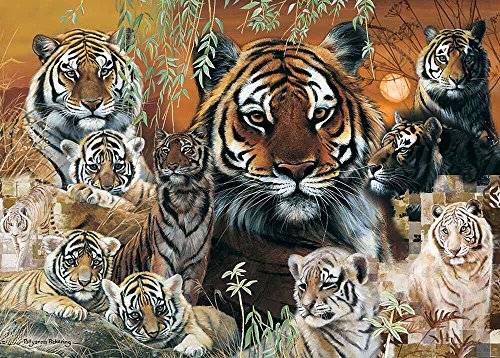Preisvergleich Produktbild Into The Wild - Tiger - Puzzle 1000 Teile