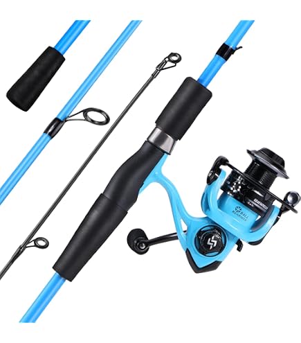 daiwa bg fishing reel Daiwa Saltist Levelwind Reels