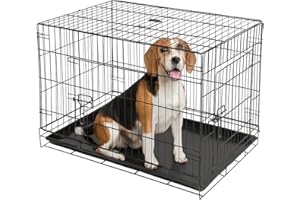 2 Door Metal Dog Crate with Removable Tray - Medium - 1x Heavy Duty Folding Foldable Portable Collapsible Indoor Car Travel Training Cage Bed Carrier Furniture - Black - by Harbour Housewares