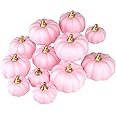Ywlake Artificial Pumpkins 12Pcs Assorted Sizes Bulk Pink Harvest Lifelike Pumpkin Fake Foam Pumpkins Set for Fall Autumn Halloween Party Thanksgiving Holiday Decor Displaying