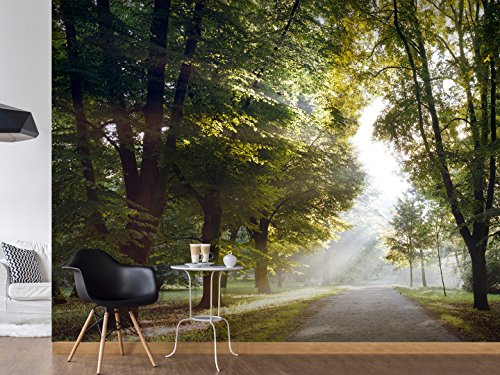 Vlies Fototapete 500×280 cm – Größe Format XXL- 3 Farben zur Auswahl – Top Tapete 5m Wandbilder Wandbild Bild Fototapeten Tapeten Wandtapete Park Natur Landschaft Baum c-A-0102-x-b - 3