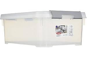 ALLIBERT CURVER Boîte de Rangement Handy Plus 4L - Boîte de Rangement Multifonction - Pour Chambre, Bureau, Garage, Cabanon, Buanderie - Fermeture Rapide à poignées - 29,4 x 19,4 x 11 cm - Transparent