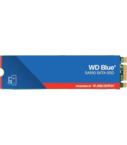 WD Blue SA510 SATA SSD 1TB M.2 2280 (Read up to 560 MB/s, Write up