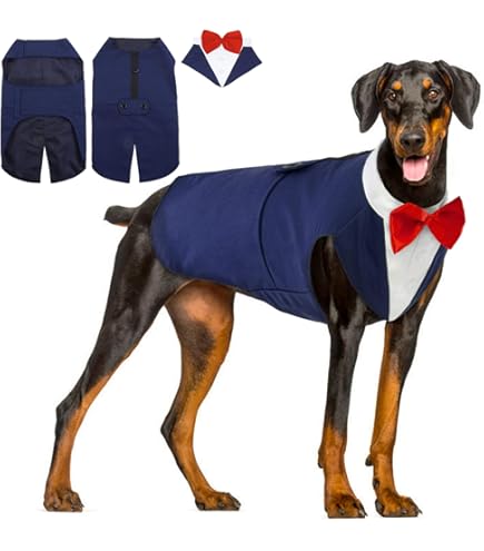 Vestito San Valentino Per Cani - Abito Principessa Con Fiori Per Cuccioli - Foto 4